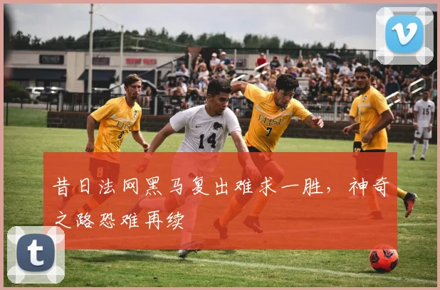 昔日法网黑马复出难求一胜，神奇之路恐难再续