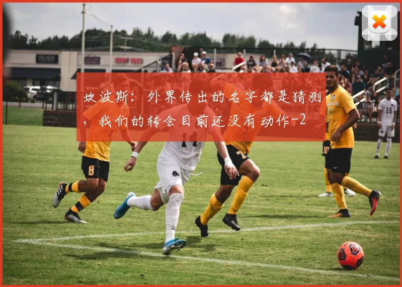 坎波斯：外界传出的名字都是猜测，我们的转会目前还没有动作