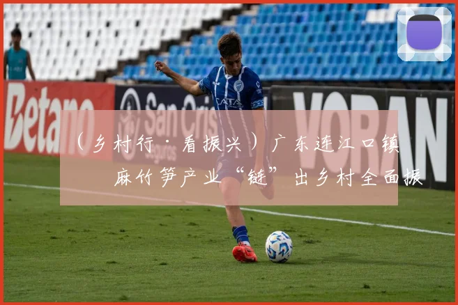 （乡村行·看振兴）广东连江口镇：麻竹笋产业“链”出乡村全面振兴路